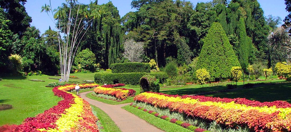 Botanical Gardens in Sri Lanka