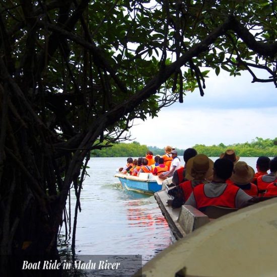 Boat Ride in Madu River